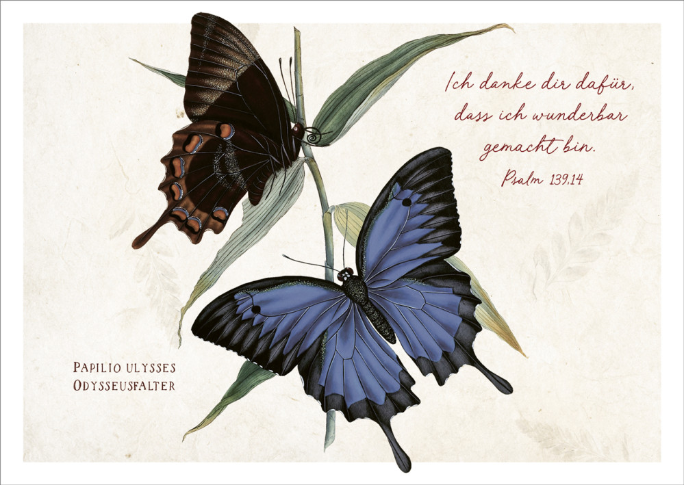 Postkarten Ich danke dir - Falter