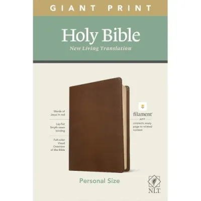 Anglais, Bible New Living Translation, grands caractères, similicuir, brune