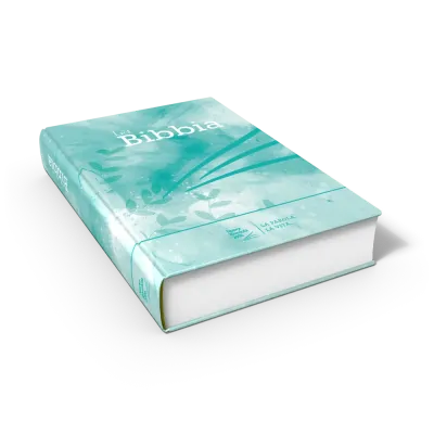 Italien, NR2006 Bible compacte - modèle rigide illustré bleu Tiffany