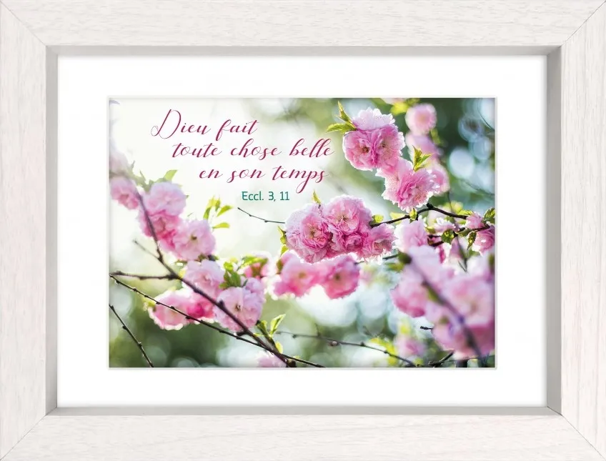 Mon cadre inspiration - Fleurs - - "Dieu fait toute chose belle en son temps", Ecclésiaste 13:11