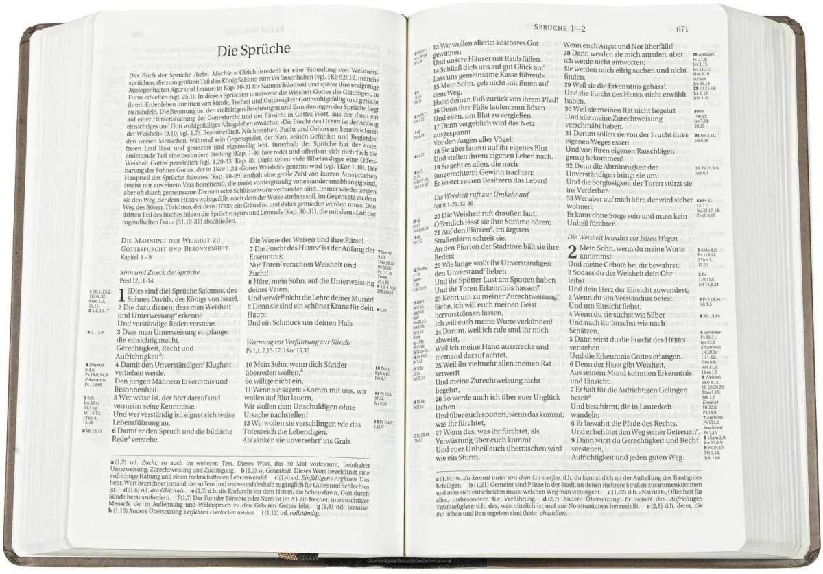 Schlachter 2000, Taschenausgabe mit Parallelstellen, halbleinen Einband hellbraun/dunkelbraun,...