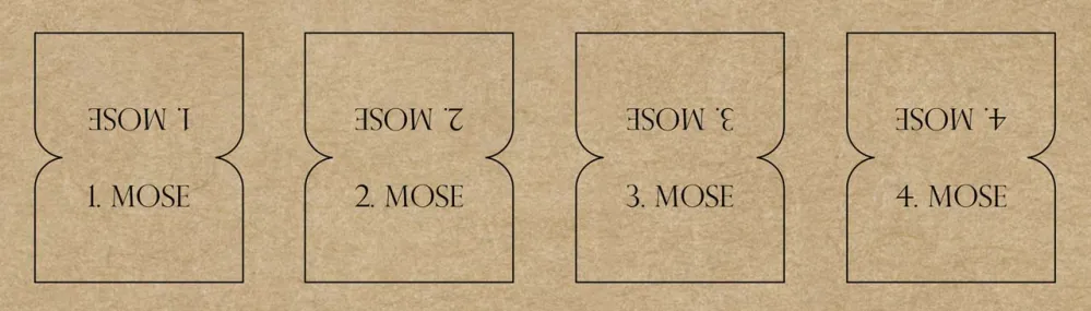 Bibel-Griffregister Kraftpapier