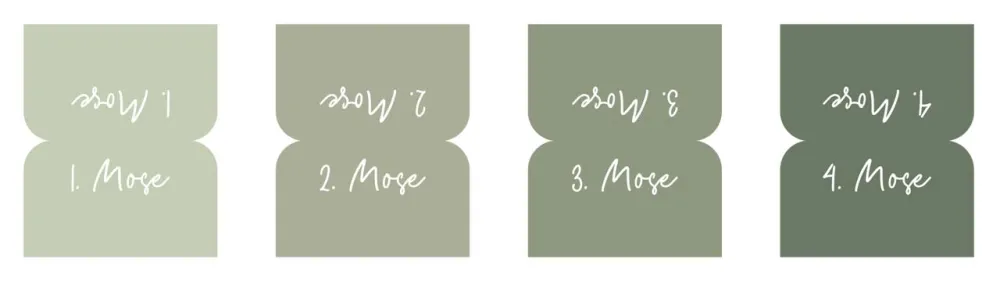 Bibel-Griffregister Salbeigrün