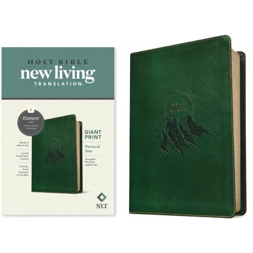Anglais, Bible New Living Translation, très gros caractères, similicuir, verte, motif montagne