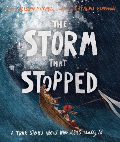 The Storm That Stopped - A True Story about Who Jesus Really Is