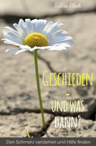 Geschieden – und was dann? - Den Schmerz verstehen und Hilfe finden