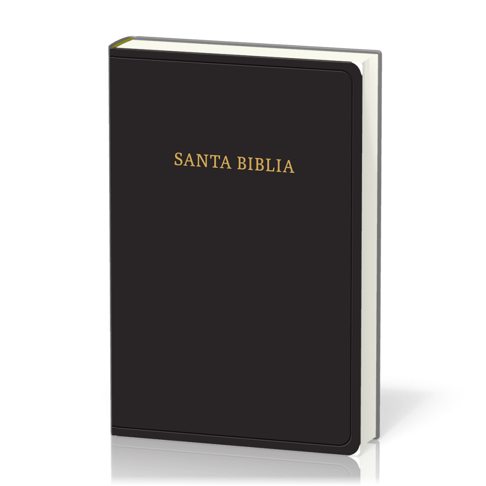 Espagnol, Bible Reina Valera 1960, grands caractères, fibrocuir, noire