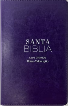 Espagnol, Bible Reina Valera 1960, gros caractères, vivella, lila, tranche or