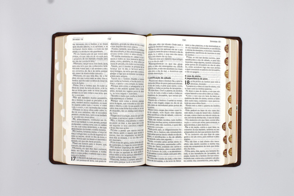 Portugais, Bible Almeida RC Révisée et Corrigée - marron, grands caractères, corcondance,...