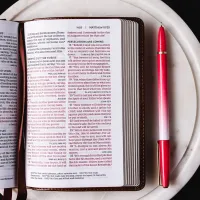 Anglais, Bible, New King James Version, compact, cuir, bleu