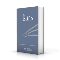 Bible Segond 21 compacte - couverture rigide skivertex bleu métallisé