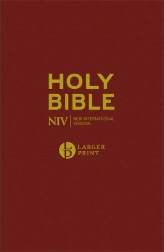 Anglais, Bible, New International Version, NIV,  gros caractères, bordeaux