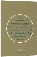 Johannes-Evangelium - Schlachter 2000