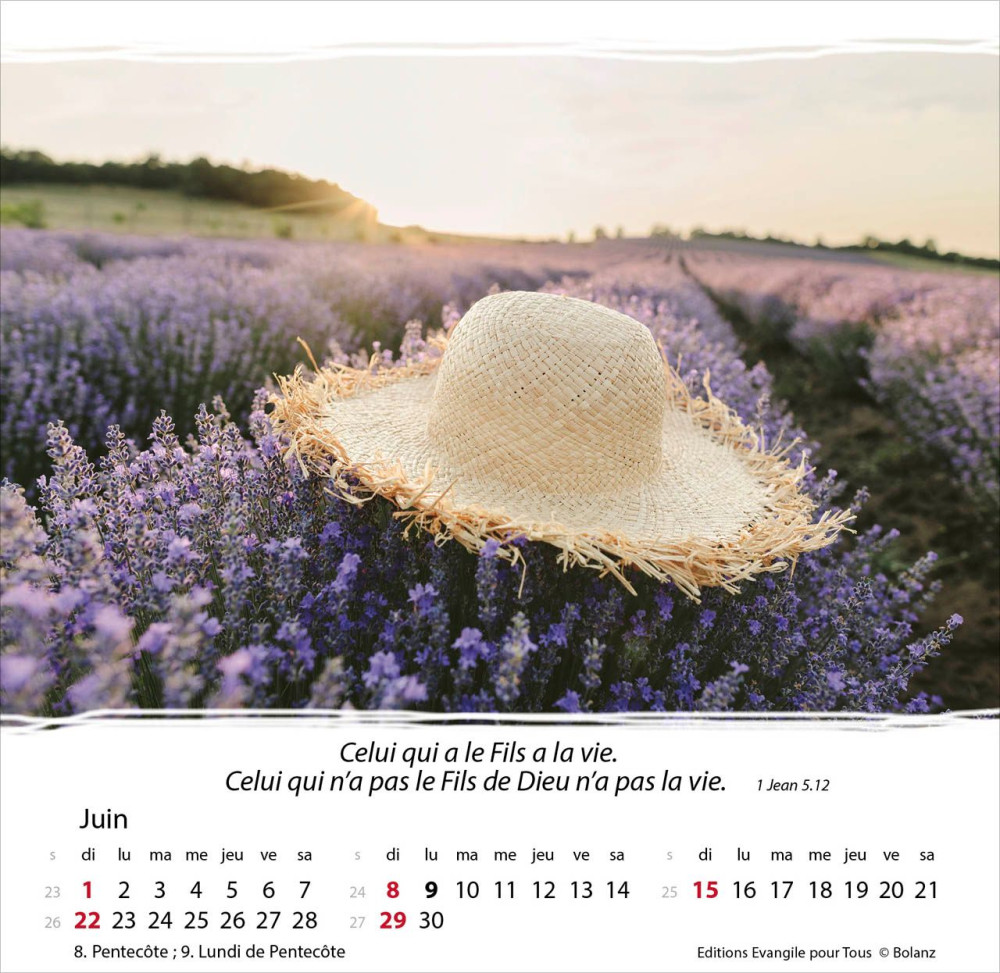 Vivre, avec méditations - Calendrier cartes postales, de table