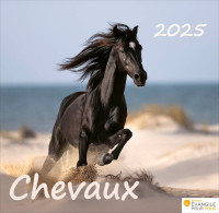 Chevaux, Merveilles de la création - Calendrier de table