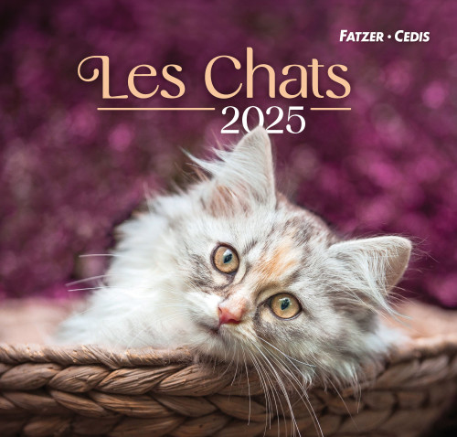 Chats, Grand format (Les) - Grand calendrier avec 12 belles photos de chats