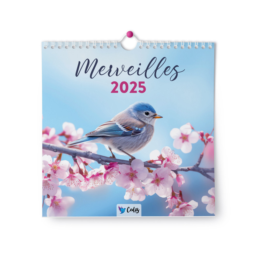 Merveilles (sans textes) - Calendrier mural