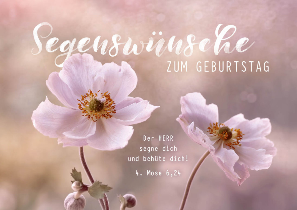 Postkarten Segenswünsche zum Geburtstag - 4. Mose 6,24