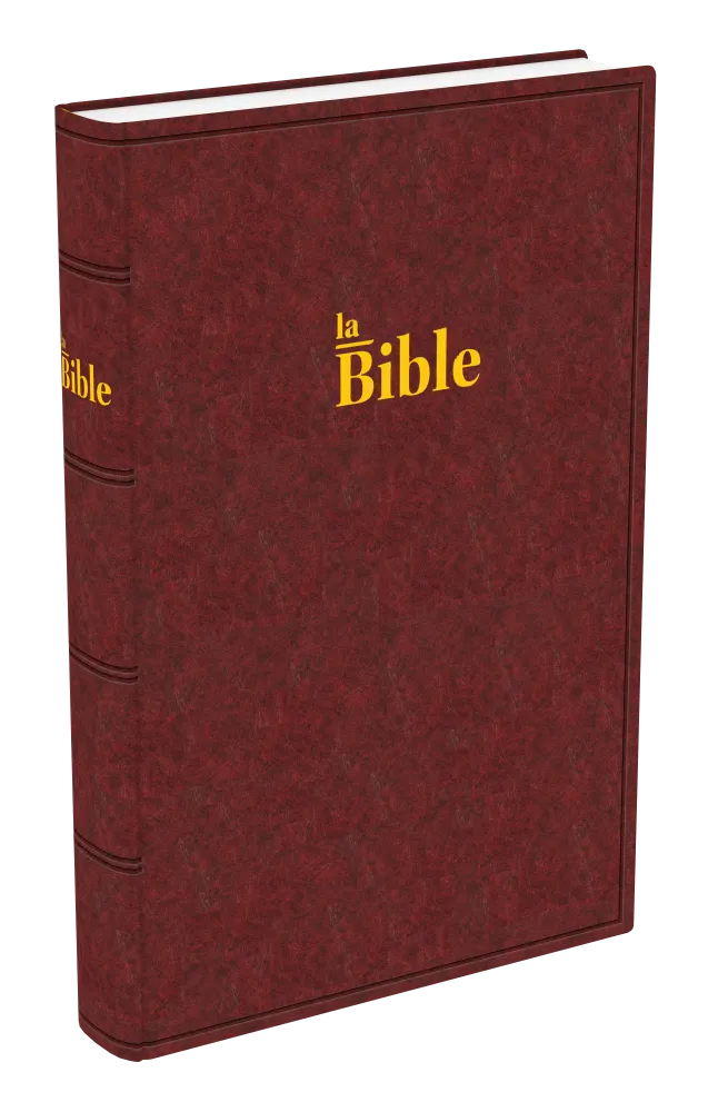 Bible Darby, grand format, brun-rouge - couverture rigide