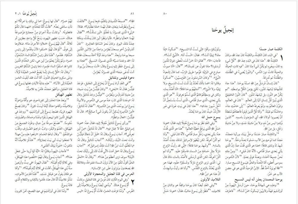 Arabe, Nouveau Testament, broché, monochrome