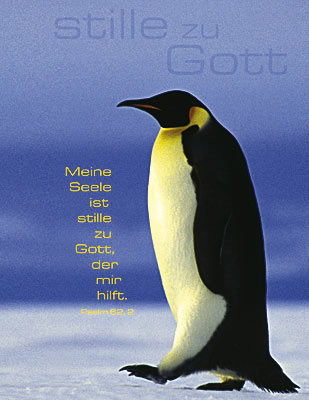 Blankbook Motiv Pinguin - Notizbuch "stille zu Gott"