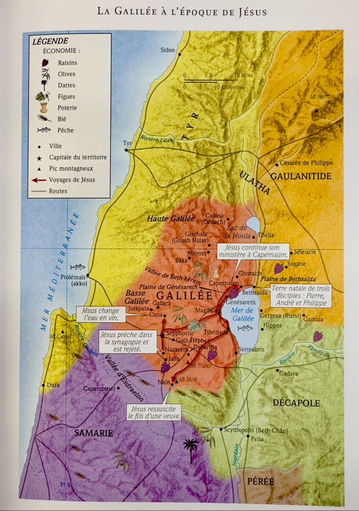 Bible d’étude de la foi réformée - Rouge brique - Similicuir