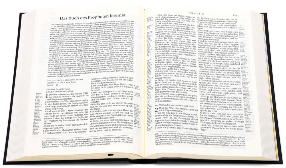 Allemand, Bible, Schlachter 2000 - Édition standard (veau, couverture souple, noir, tranches...