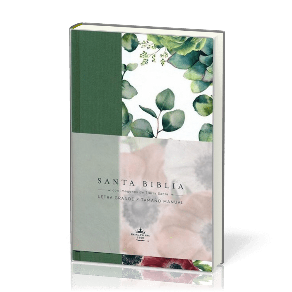 Espagnol, Bible, Reina Valera 1960, gros caractères - couverture rigide en toile verte avec motif...