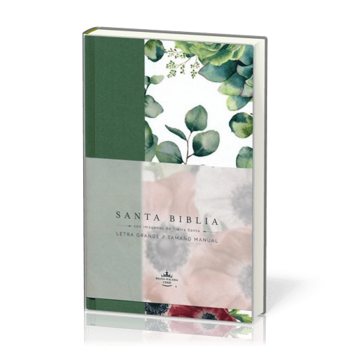 Espagnol, Bible, Reina Valera 1960, gros caractères - couverture rigide en toile verte avec motif...