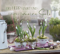 Aufstellbuch gross - Im Garten zuhause - mit 24 Postkarten