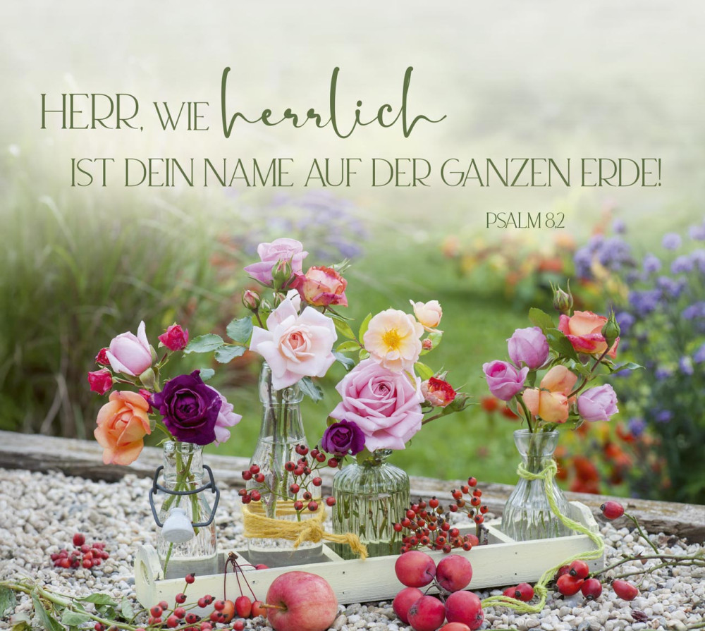 Aufstellbuch gross - Im Garten zuhause - mit 24 Postkarten