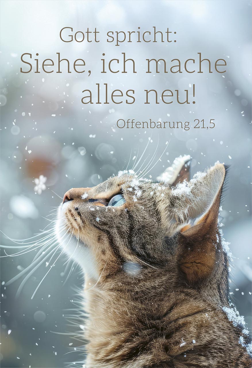 Minikarten Jahreslosung 