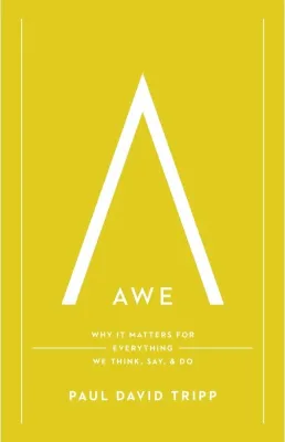 Awe - Why It Matters for Everything We Think, Say, and Do (with Study Questions)