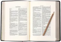 Schlachter 2000 Bibel – Schreibrandausgabe (flexibler Leder-Umschlag, schwarz) -...