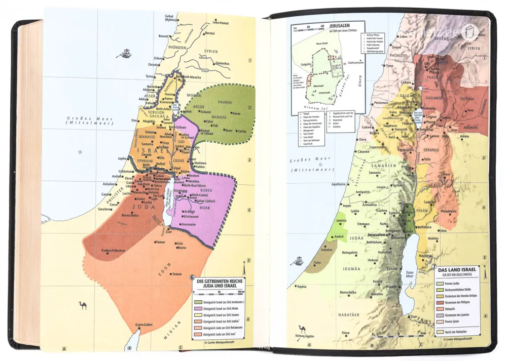 Schlachter 2000 Bibel – Schreibrandausgabe (flexibler Leder-Umschlag, schwarz) -...