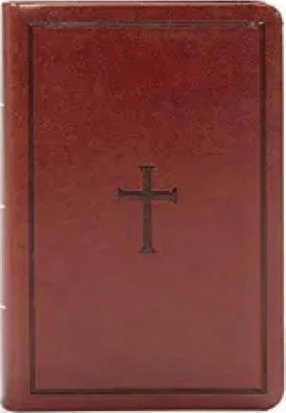 Espagnol, Bible, Nueva Version internacional, gros caractères, couverture souple - letra grande, NVI