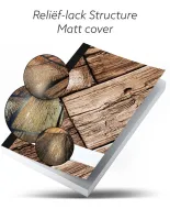 Bible en roumain complète avec l'Ancien et le Nouveau Testament