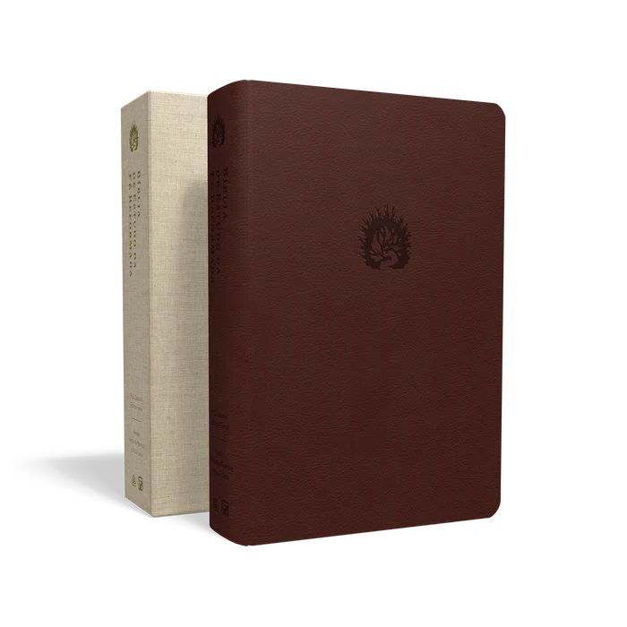 Portugais, Bible, Almeida Revista et Actualizada, Bible d'étude la foi réformée - similicuir...