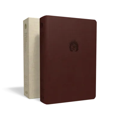 Portugais, Bible, Almeida Revista et Actualizada, Bible d'étude la foi réformée - similicuir...