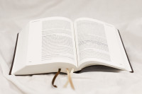 NeÜ bibel.heute Liebezurbibel - Flexibler Kunstledereinband - braun/dunkel mit Schreibrand