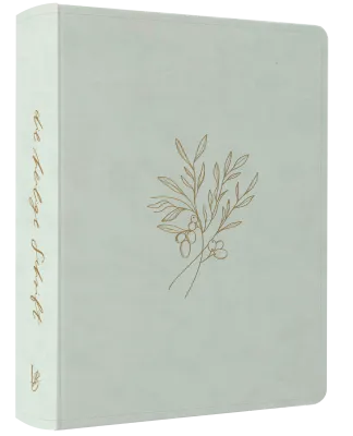 NeÜ bibel.heute Liebezurbibel (Schreibrandbibel SELAH) - Flexibler Kunstledereinband - mintgrün...