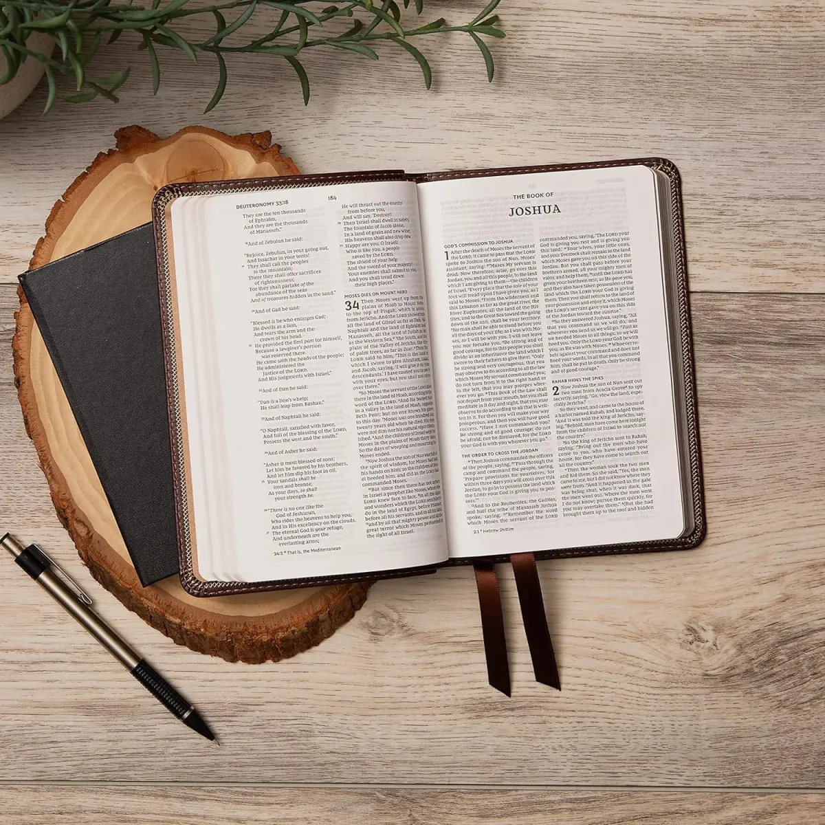 Anglais, Bible, New King James Version, compact, bordeaux
