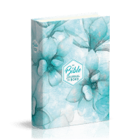 Bible Segond 21 Journal de bord -  couverture rigide, toile imprimée motifs