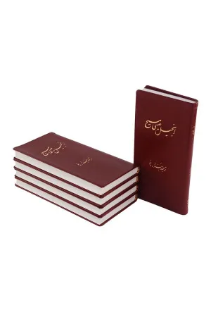 New Testament, Millennium Edition, Red leather simile, Plain (Persan/Farsi)