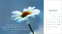 Fleurs avec versets bibliques (Les) - calendrier