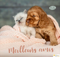 Meilleurs amis - Calendrier grand format
