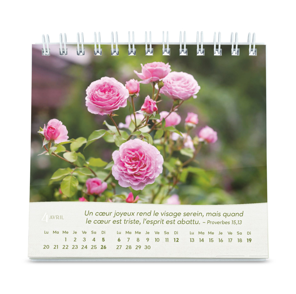 Roses - Petit calendrier avec 12 magnifiques photos de roses