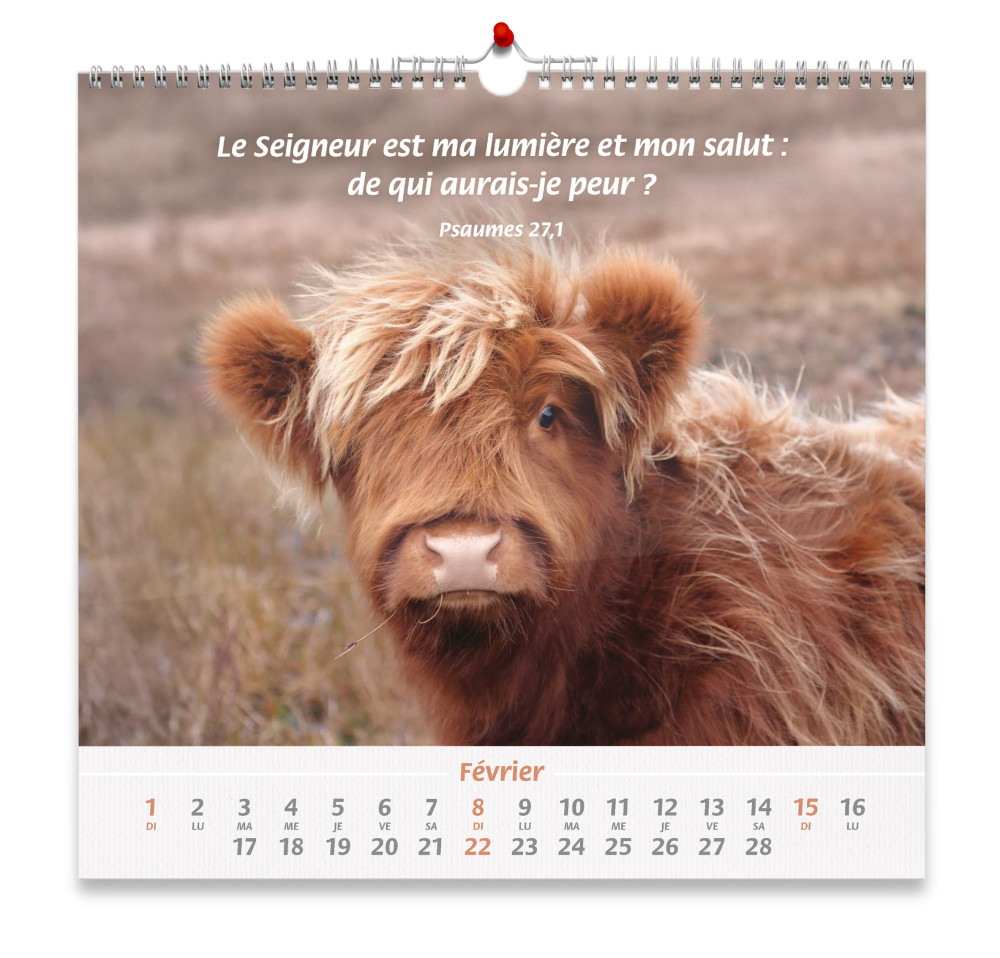 Nos amis les animaux - Calendrier