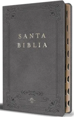 Espagnol, Bible, Reina Valera 1960, moyen format, grandes lettres, similicuir gris, avec onglets,...