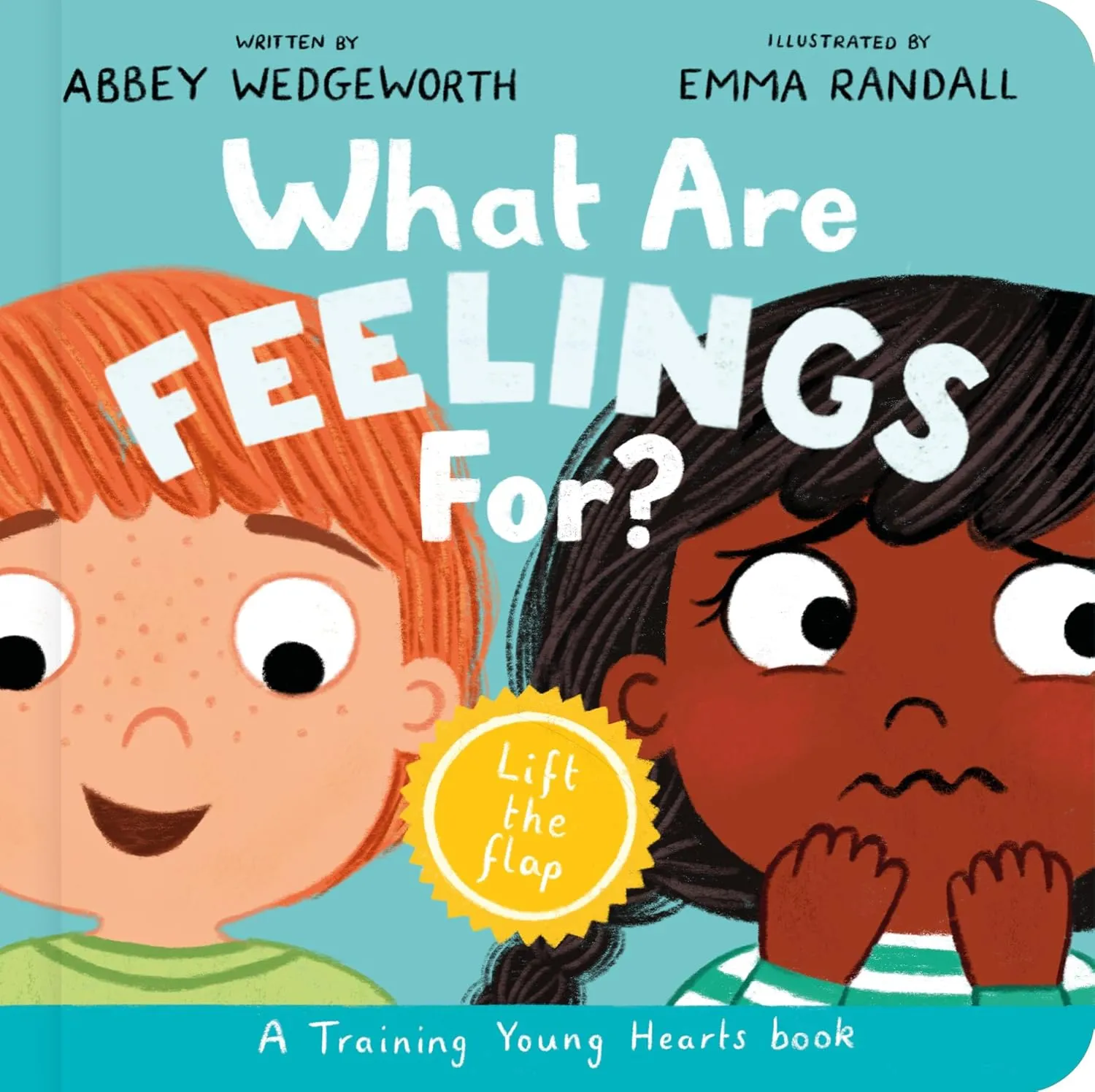 What Are Feelings For? - A Lift-The-Flap Board Book